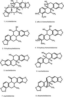 Greater Celandine's Ups and Downs−21 Centuries of Medicinal Uses of Chelidonium majus From the Viewpoint of Today's Pharmacology